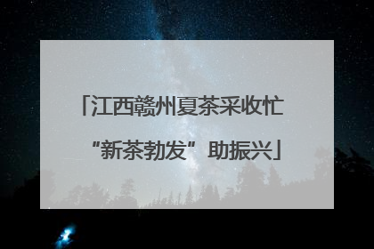江西赣州夏茶采收忙 “新茶勃发”助振兴