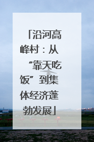 沿河高峰村：从“靠天吃饭”到集体经济蓬勃发展
