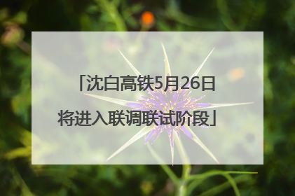 沈白高铁5月26日将进入联调联试阶段