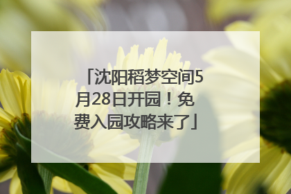沈阳稻梦空间5月28日开园！免费入园攻略来了