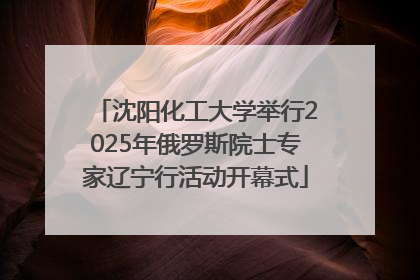 沈阳化工大学举行2025年俄罗斯院士专家辽宁行活动开幕式