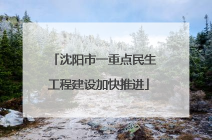 沈阳市一重点民生工程建设加快推进