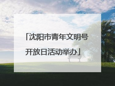 沈阳市青年文明号开放日活动举办