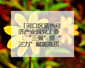 河口区蓝色经济产业园党工委：“三强”提“三力”赋能高质量发展