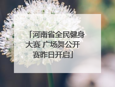 河南省全民健身大赛 广场舞公开赛昨日开启