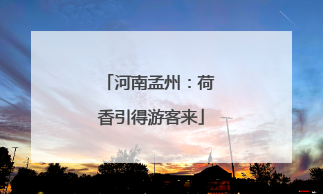 河南孟州：荷香引得游客来