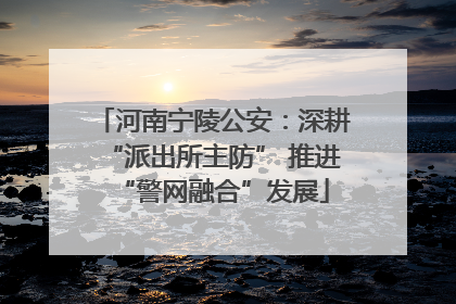 河南宁陵公安：深耕“派出所主防” 推进“警网融合”发展