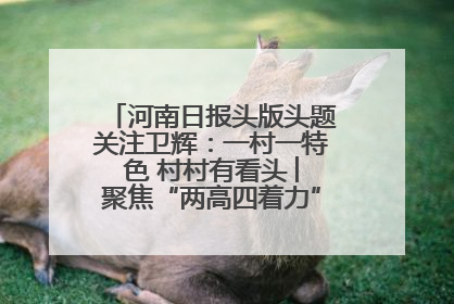 河南日报头版头题关注卫辉：一村一特色 村村有看头 ︳聚焦“两高四着力”·一“县”观察