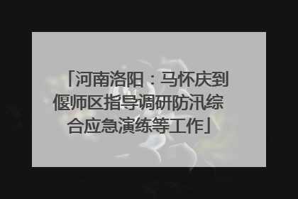 河南洛阳：马怀庆到偃师区指导调研防汛综合应急演练等工作