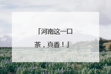 河南这一口茶，真香！