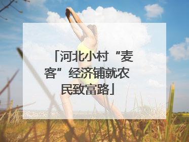河北小村“麦客”经济铺就农民致富路