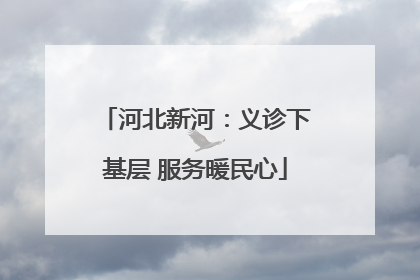 河北新河：义诊下基层 服务暖民心