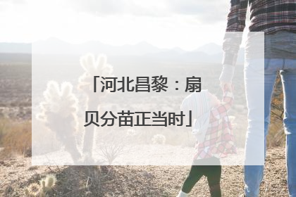 河北昌黎：扇贝分苗正当时
