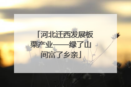 河北迁西发展板栗产业——绿了山间富了乡亲