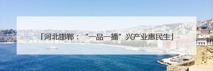 河北邯郸：“一品一播”兴产业惠民生