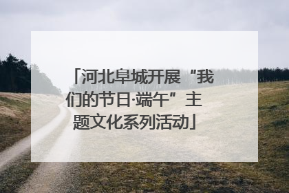 河北阜城开展“我们的节日·端午”主题文化系列活动