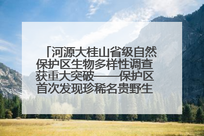 河源大桂山省级自然保护区生物多样性调查获重大突破——保护区首次发现珍稀名贵野生干巴菌与钝尾两头蛇