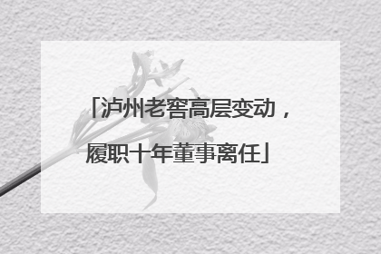 泸州老窖高层变动，履职十年董事离任