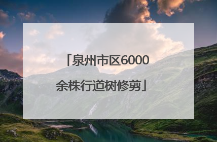 泉州市区6000余株行道树修剪