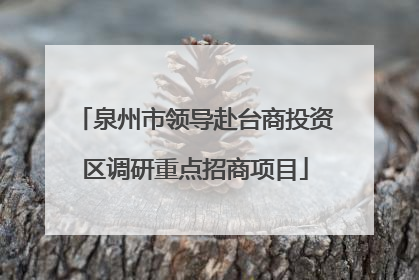 泉州市领导赴台商投资区调研重点招商项目
