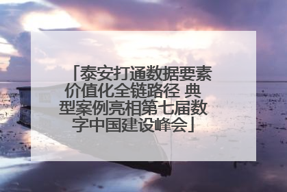 泰安打通数据要素价值化全链路径 典型案例亮相第七届数字中国建设峰会