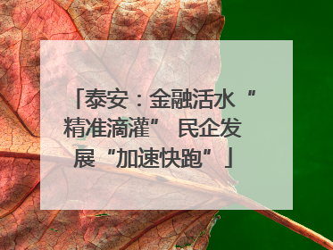 泰安：金融活水“精准滴灌” 民企发展“加速快跑”