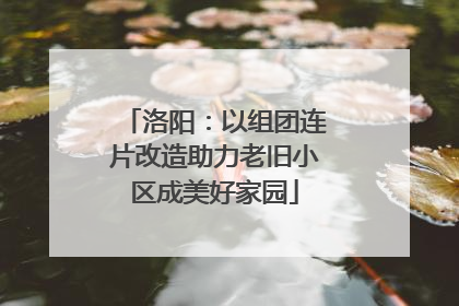 洛阳：以组团连片改造助力老旧小区成美好家园