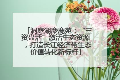 洞庭湖麋鹿苑：“三资盘活”激活生态资源，打造长江经济带生态价值转化新标杆