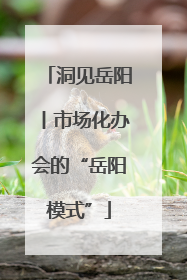 洞见岳阳丨市场化办会的“岳阳模式”