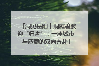 洞见岳阳丨洞庭碧波迎“归客”：一座城市与麋鹿的双向奔赴