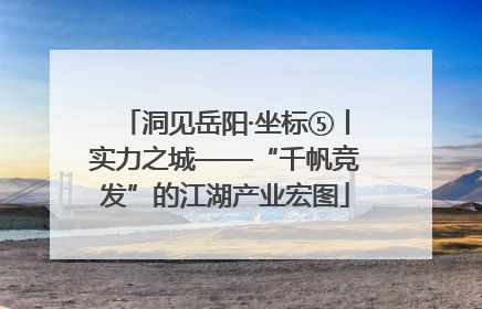 洞见岳阳·坐标⑤丨实力之城——“千帆竞发”的江湖产业宏图