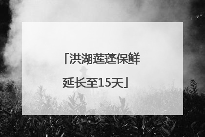 洪湖莲蓬保鲜延长至15天