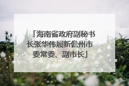 海南省政府副秘书长张华伟履新儋州市委常委、副市长