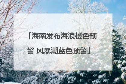 海南发布海浪橙色预警 风暴潮蓝色预警