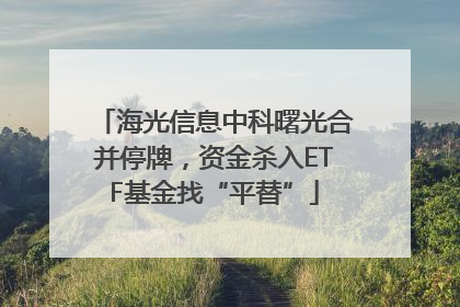 海光信息中科曙光合并停牌，资金杀入ETF基金找“平替”