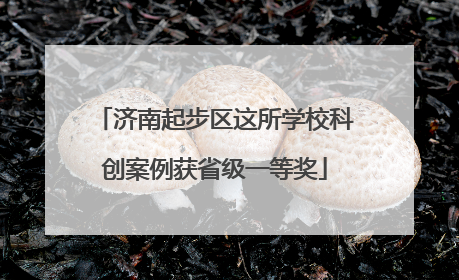 济南起步区这所学校科创案例获省级一等奖