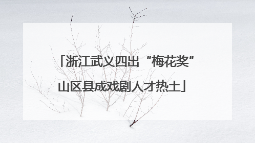 浙江武义四出“梅花奖” 山区县成戏剧人才热土