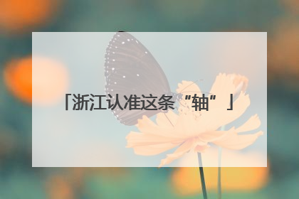 浙江认准这条“轴”