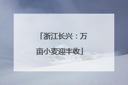 浙江长兴：万亩小麦迎丰收
