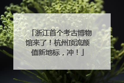 浙江首个考古博物馆来了！杭州顶流颜值新地标，冲！