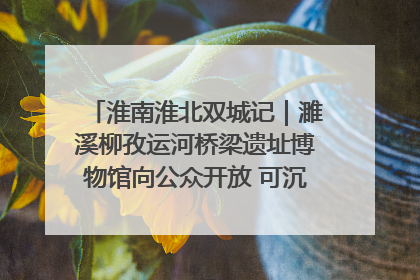 淮南淮北双城记｜濉溪柳孜运河桥梁遗址博物馆向公众开放 可沉浸式触摸历史