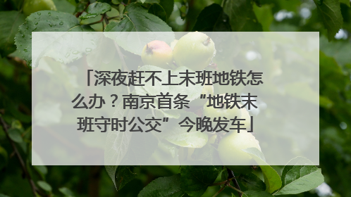 深夜赶不上末班地铁怎么办？南京首条“地铁末班守时公交”今晚发车
