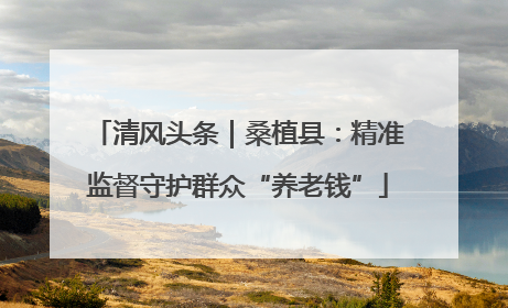清风头条｜桑植县：精准监督守护群众“养老钱”