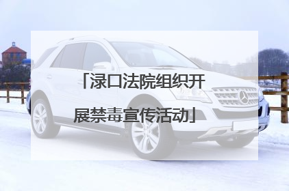 渌口法院组织开展禁毒宣传活动
