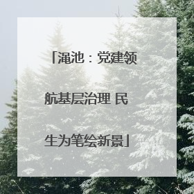 渑池：党建领航基层治理 民生为笔绘新景