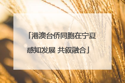 港澳台侨同胞在宁夏感知发展 共叙融合