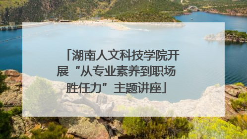 湖南人文科技学院开展“从专业素养到职场胜任力”主题讲座