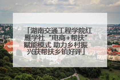 湖南交通工程学院红雁学社“电商+帮扶”赋能模式 助力乡村振兴获帮扶乡镇好评