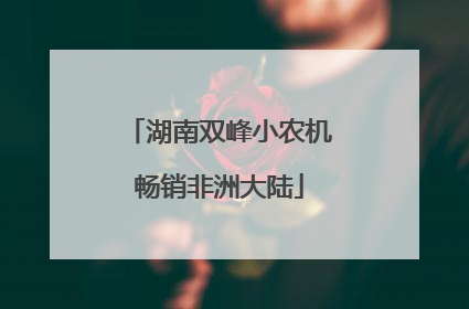 湖南双峰小农机畅销非洲大陆