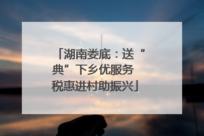 湖南娄底：送“典”下乡优服务 税惠进村助振兴